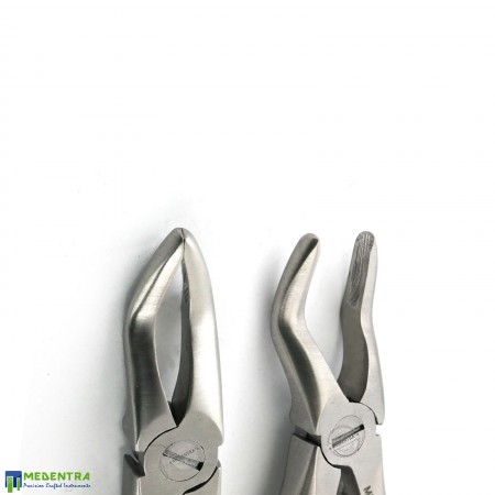 Dental Tooth Extraction Forceps Fig-3