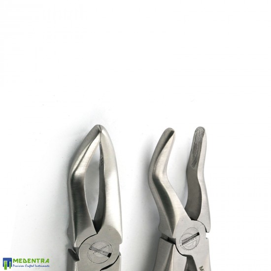 Dental Tooth Extraction Forceps Fig-3