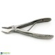 Dental Tooth Extraction Forceps Fig-3