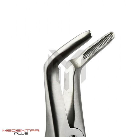 Dental Long Beak Dental Extracting Forceps Serrated Dental Long Beak Dental Extracting Forceps Serrated