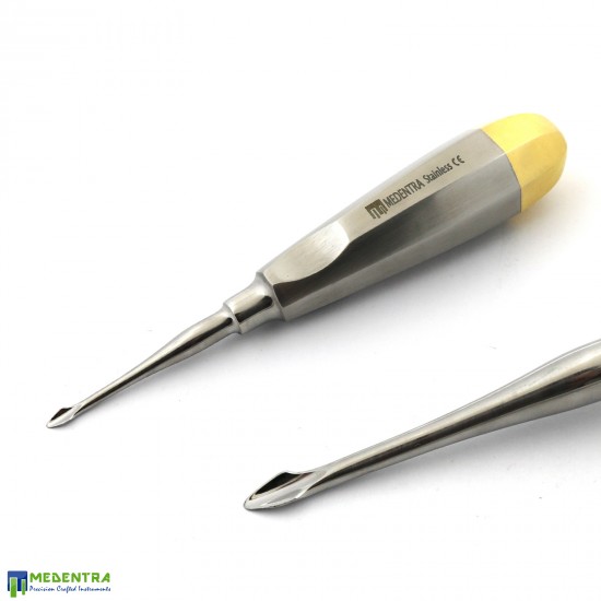 10Pcs Basic Dental Extraction Kit 